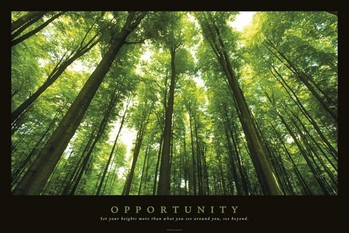 OPPORTUNITY posters | art prints