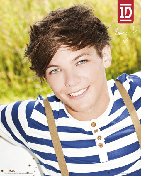 Poster One Direction Louis Su Europostersit 