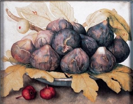 a-plate-of-figs-1662-i19772.jpg