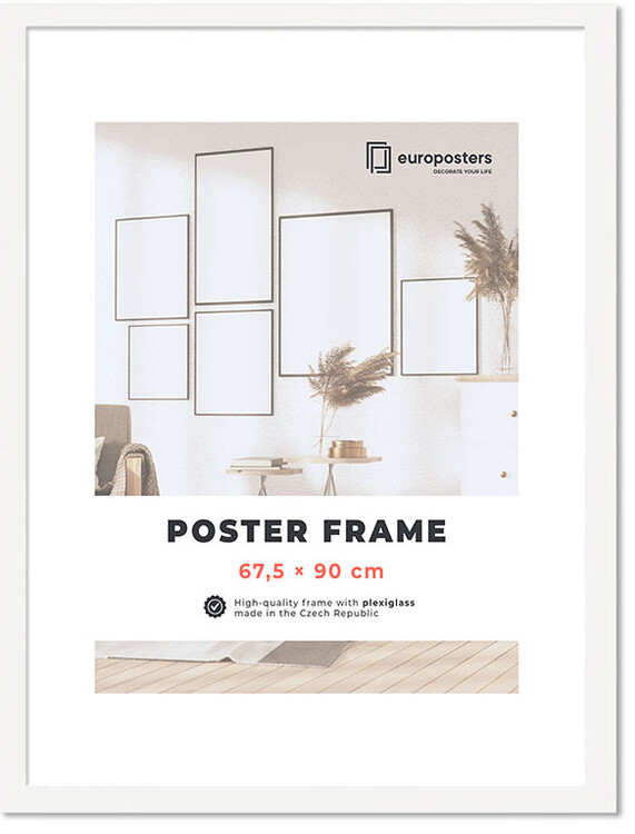 60 x 90 poster frame
