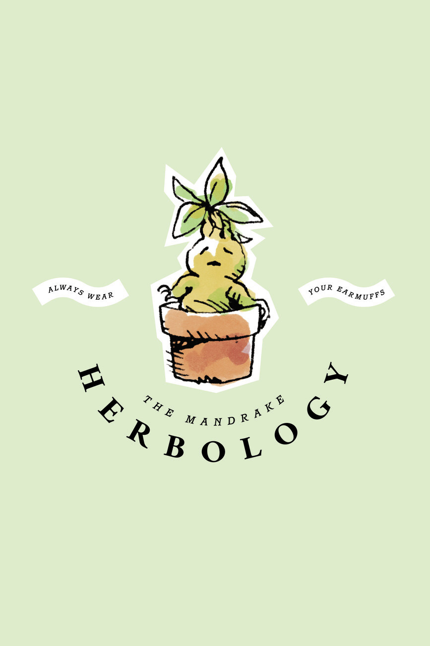 Poster The Mandrake - Herbology | Wall Art | 3+1 FREE | Europosters