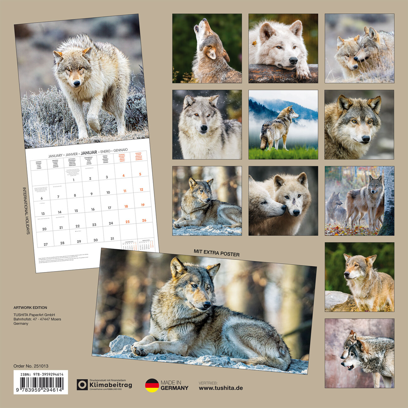 2026 Wolves: National Geographic - Square Wall Calendar - View #4