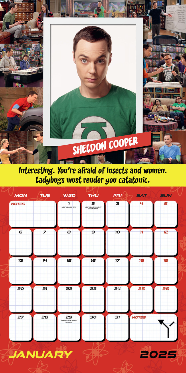 the-big-bang-theory-wall-calendars-2025-buy-at-europosters