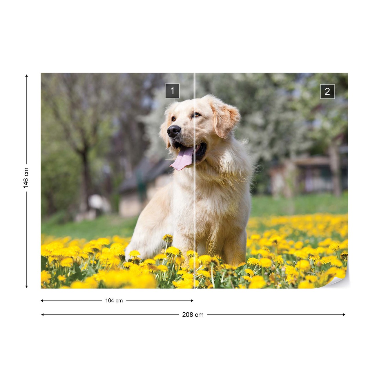 Golden Retriever Dog Wall Paper Mural Buy at EuroPosters - Main Image