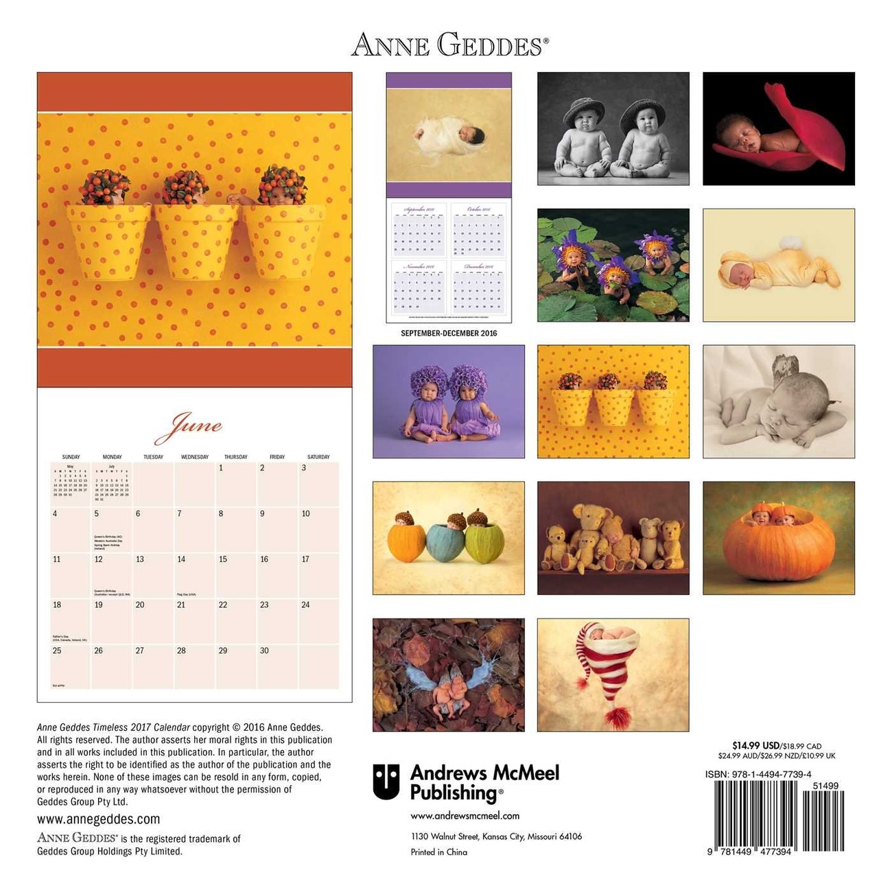 Anne Geddes Calendar 2024 Calendar 2024