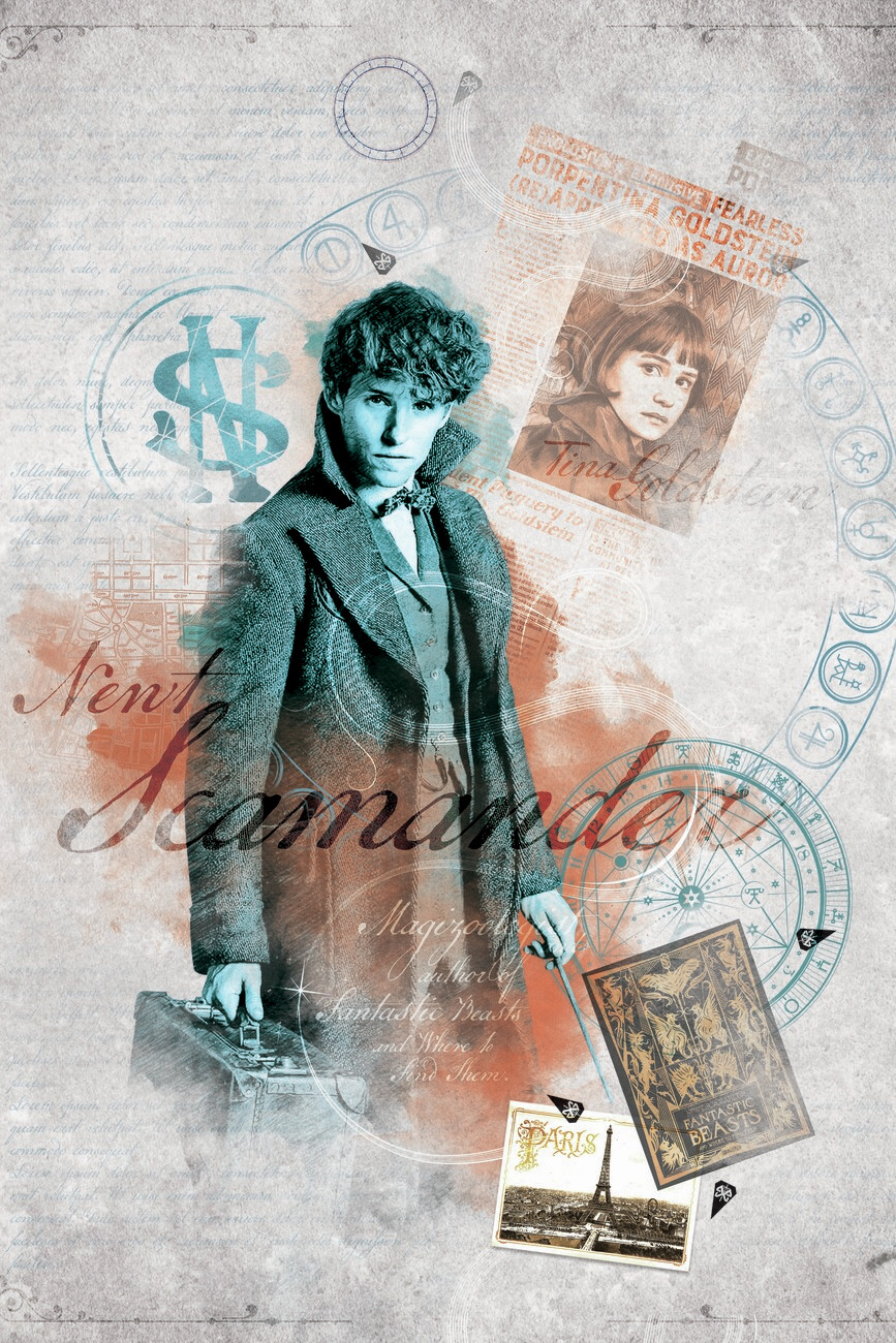 Wall Art Print Fantastic Beasts - Newt Scamander | Gifts