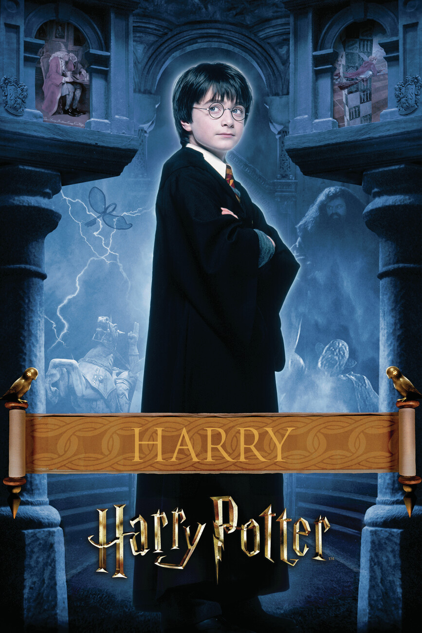 Wall Art Print Harry Potter - Harry | Gifts & Merchandise | Abposters.com