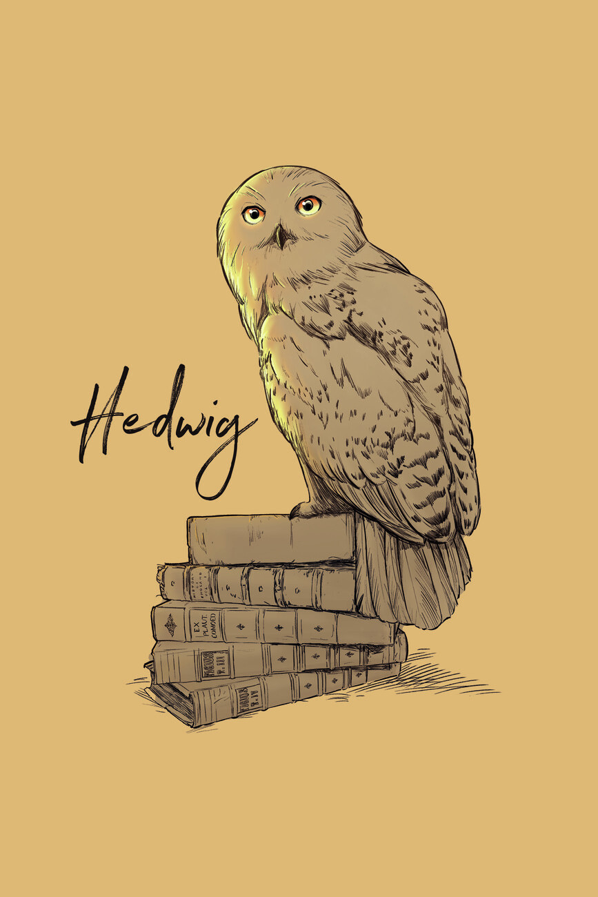 Wall Art Print Harry Potter - Hedwig, Gifts & Merchandise