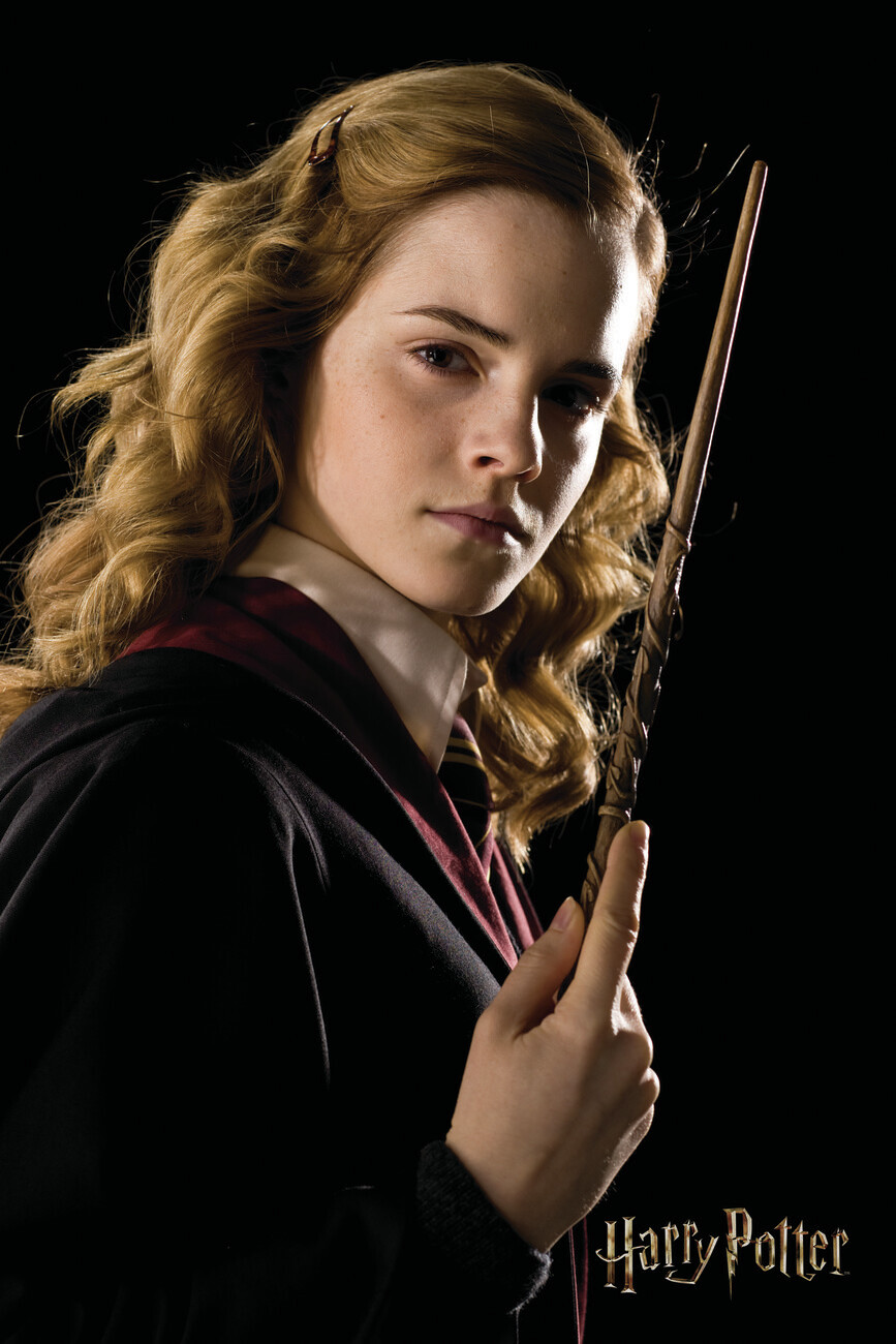 Wall Art Print Harry Potter - Hermione Granger portrait | Gifts ...