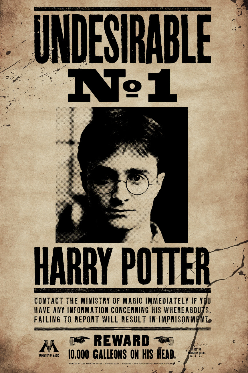 Wall Art Print Harry Potter - Undesirable No 1, Gifts & Merchandise