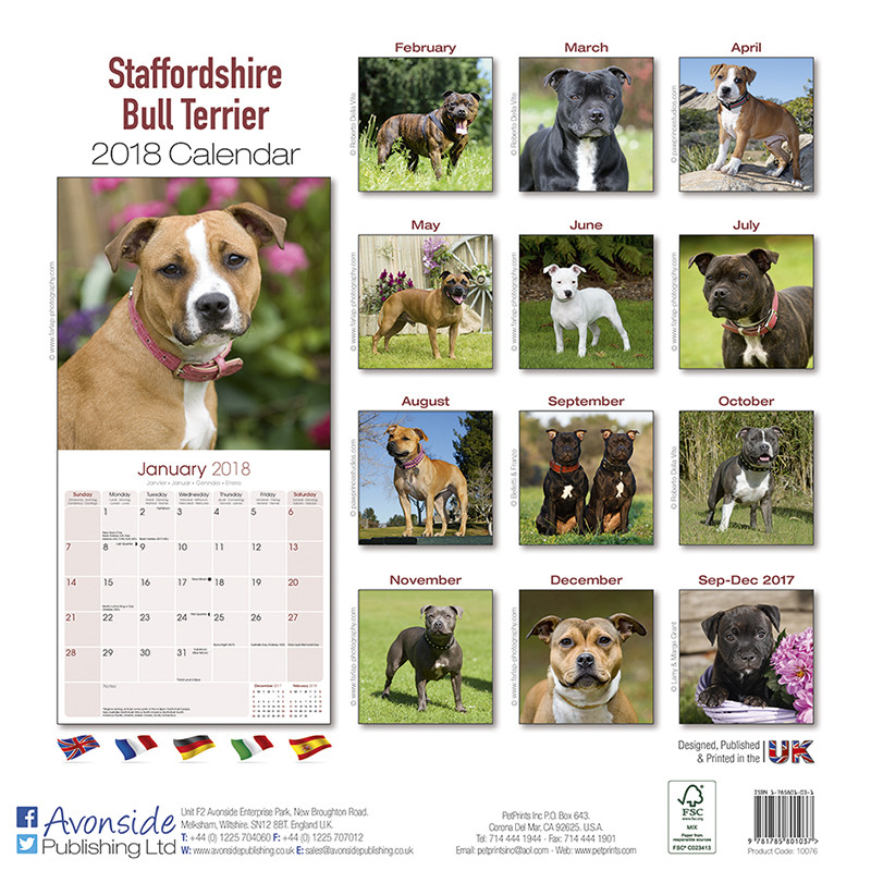 69+ Staffordshire Bull Terrier Calendar 2021 Photo Bleumoonproductions