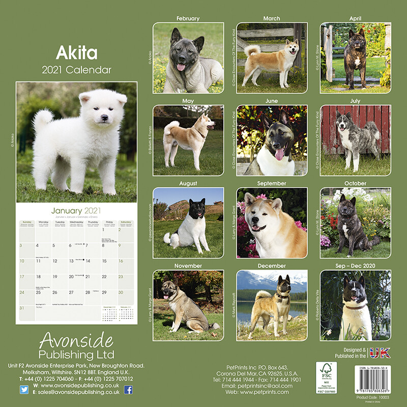 Akita Calendários de parede 2026 Compre em Europosters