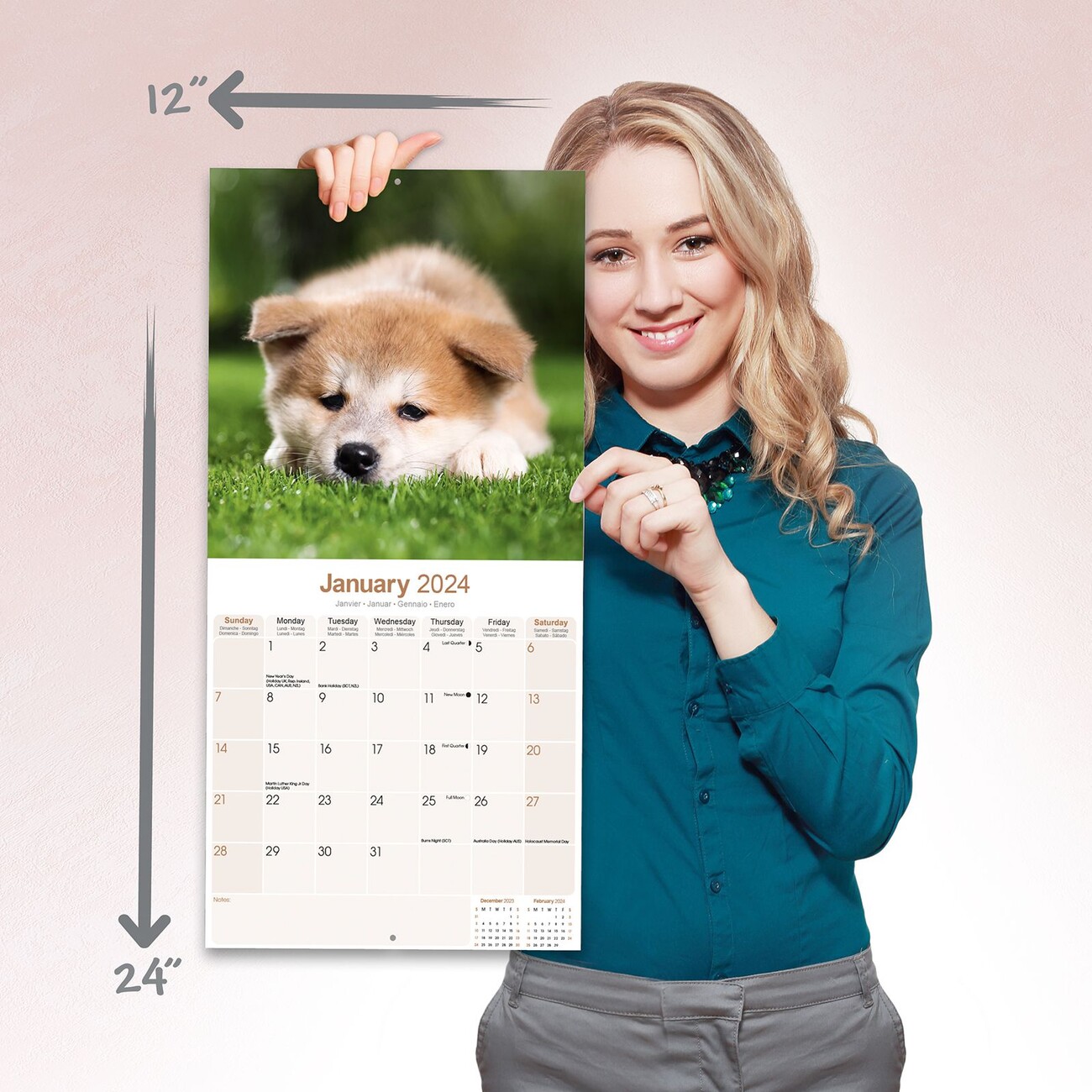 Akita Wall Calendars 2024 Buy at Europosters