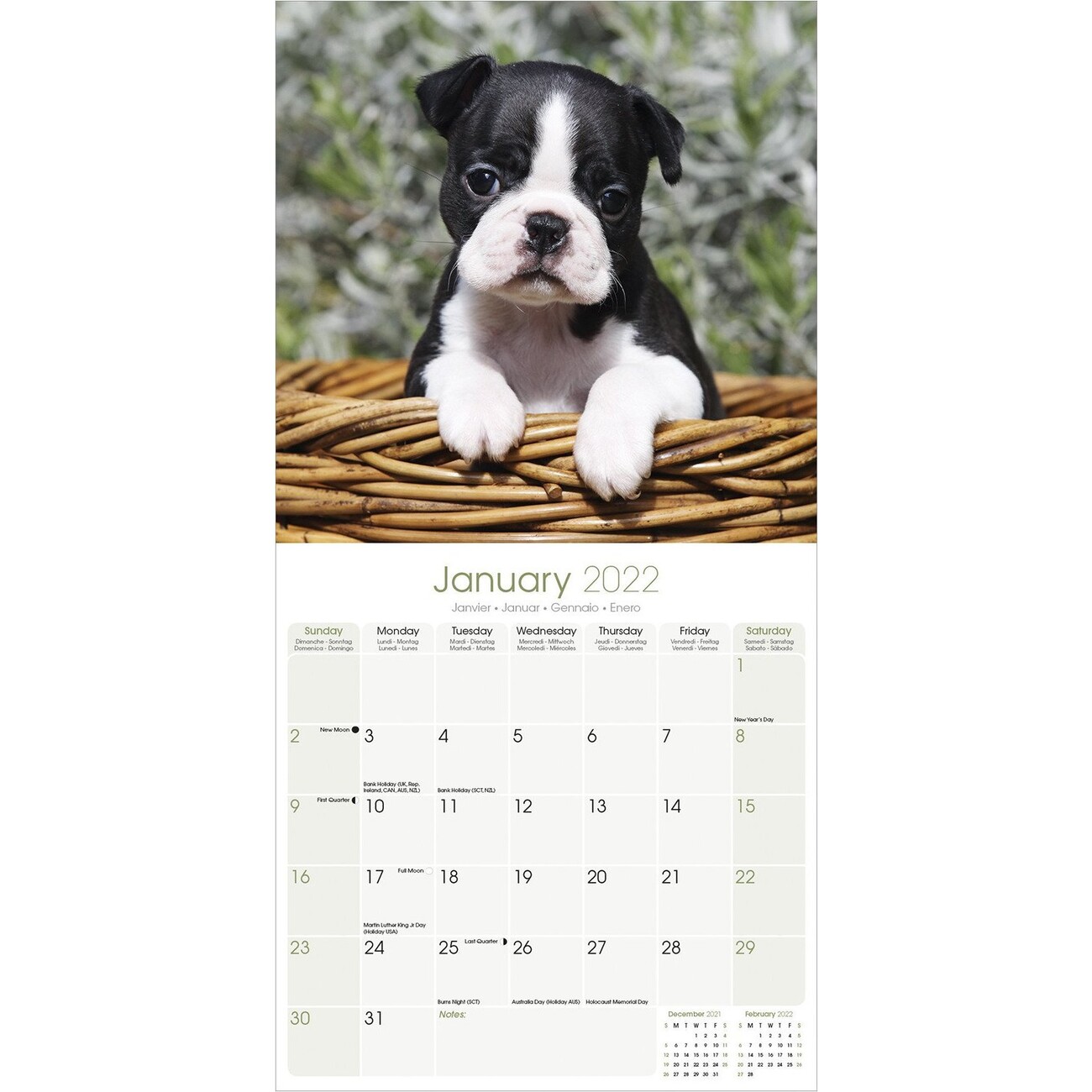 Border Collie Puppies Calendar- Puppies Calendar - Dog Breed Calendars -  2022 - 2023 wall calendars - 16 Month by Avonside