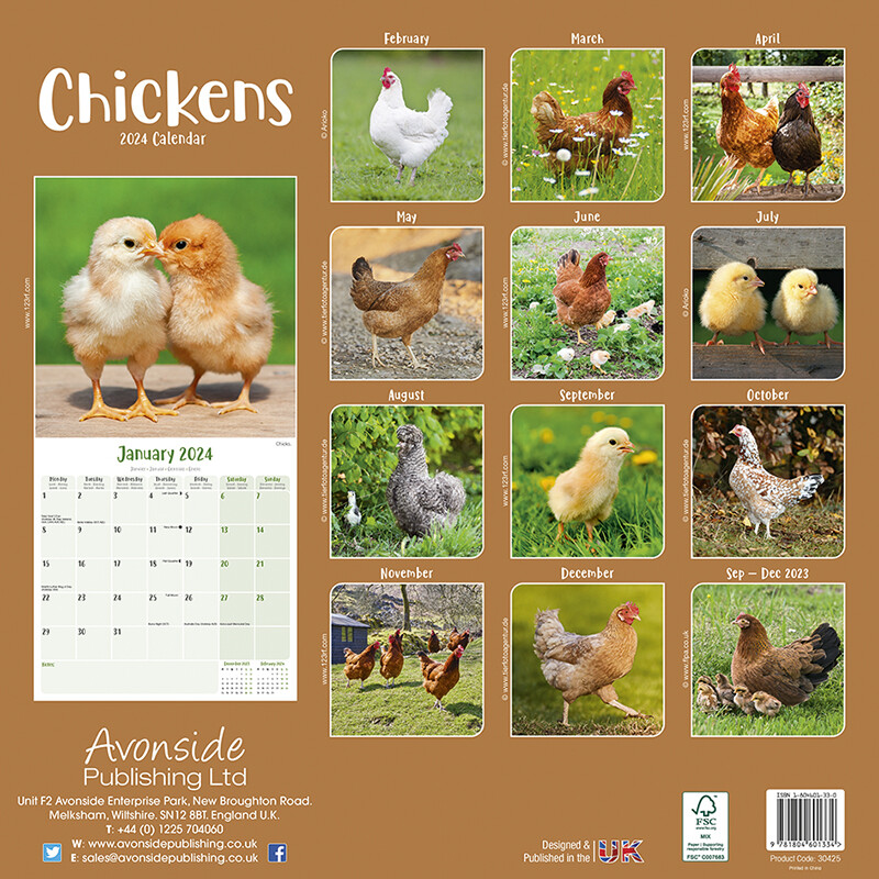 Chickens Wall Calendars 2024 Buy at Europosters