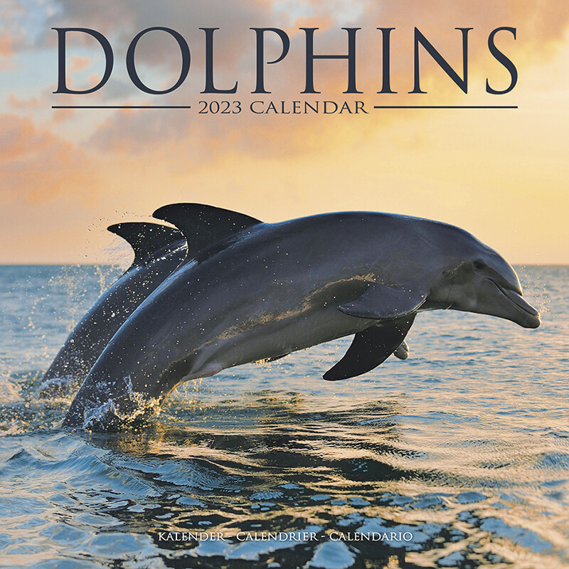 Dolphins 2023 Wall Calendar: 9781549225789  