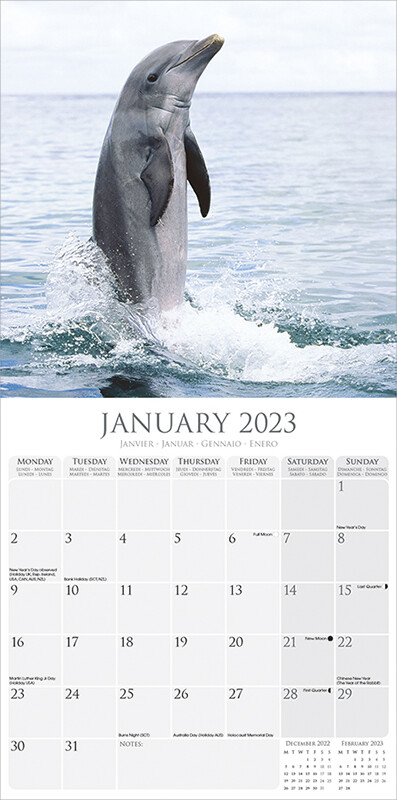 NFL Miami Dolphins 2023 Wall Calendar