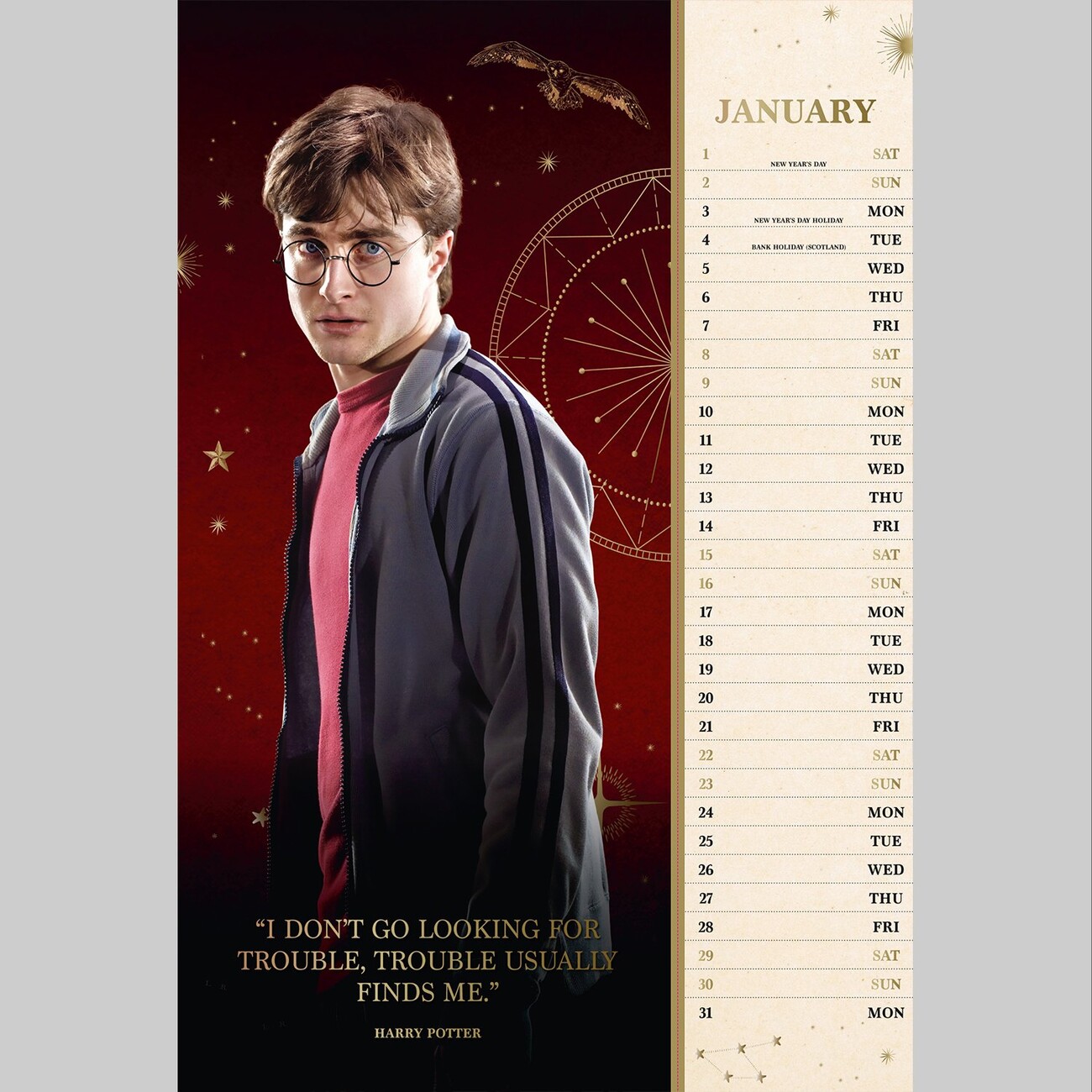 Harry Potter - Wall Calendars 2022 | Large Selection