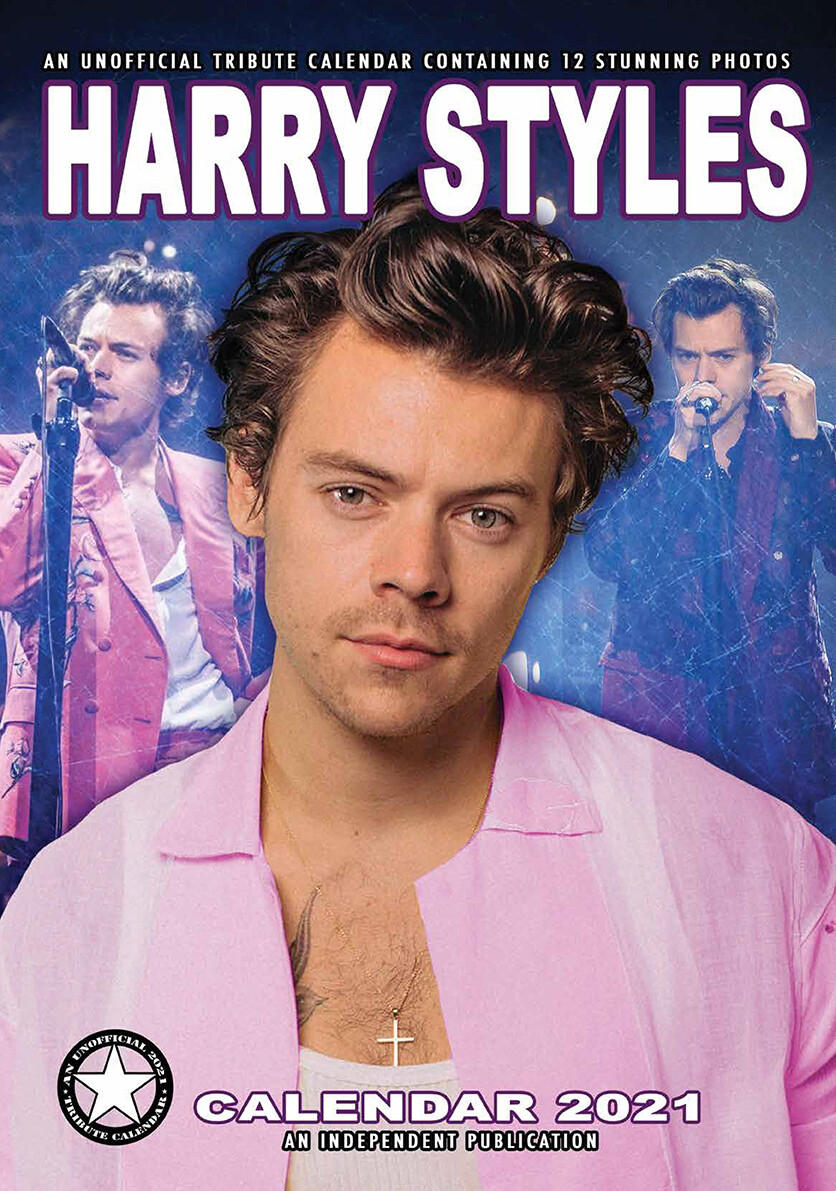 Harry Styles 2022 Wall Calendar NEW A3 Poster Size 12 Months 