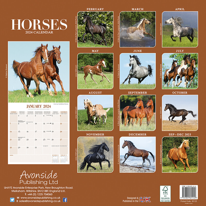 Horses Wall Calendars 2024 Buy at Europosters