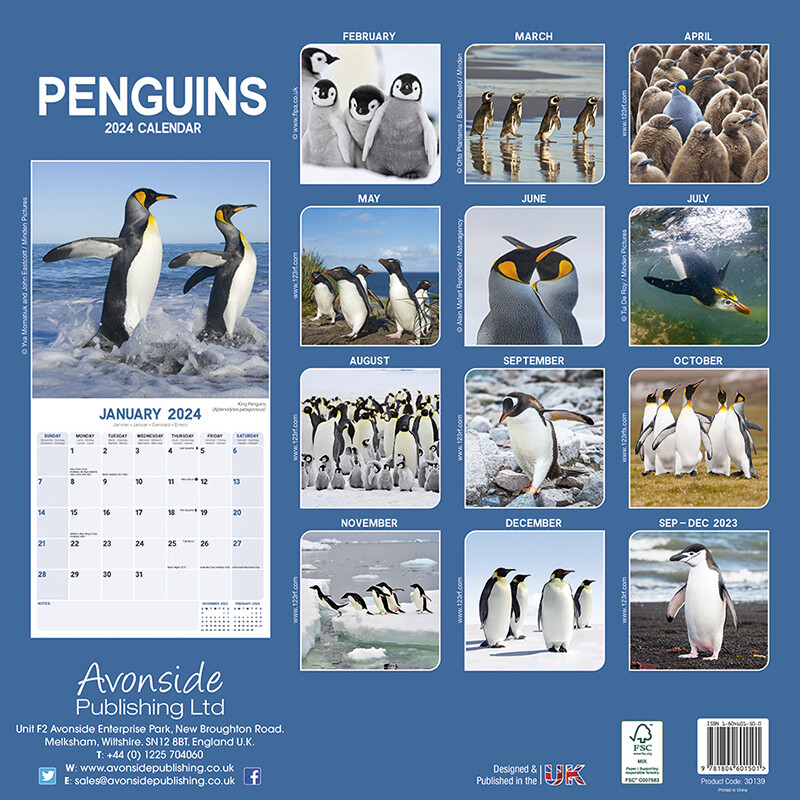 Penguins Wall Calendars 2024 Buy at