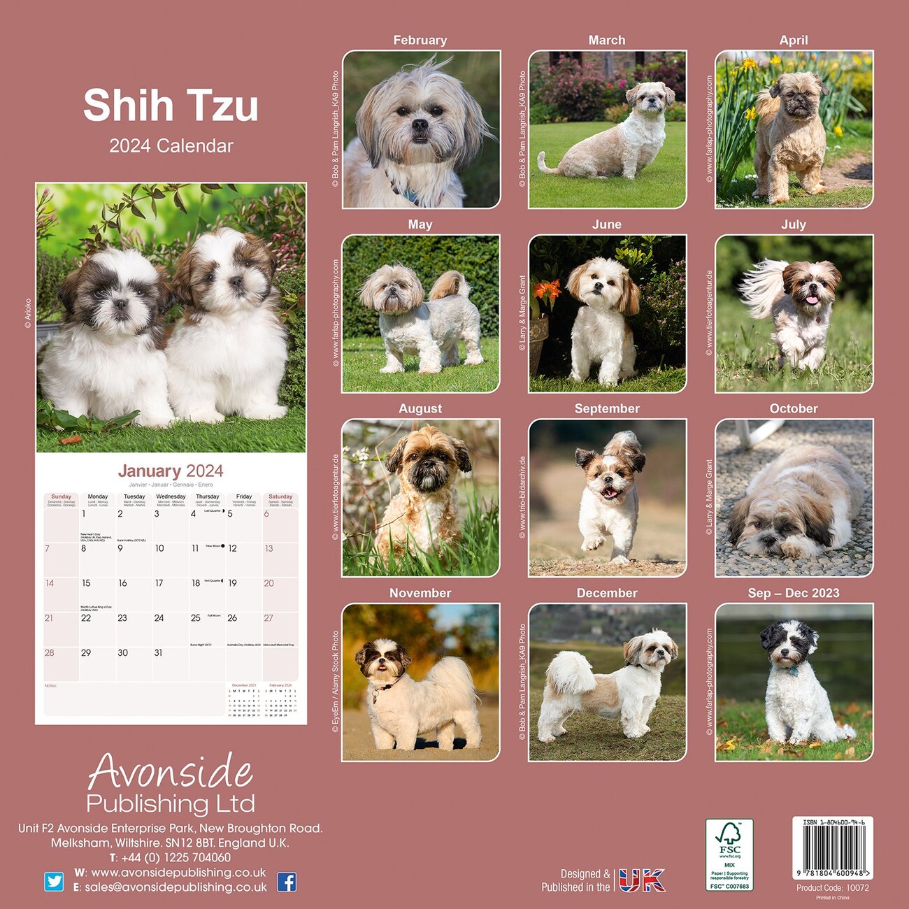 shih-tzu-wall-calendars-2024-buy-at-europosters