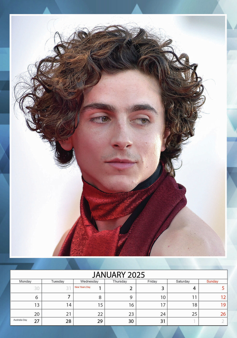 Timothée Chalamet Wall Calendars 2025 Buy at