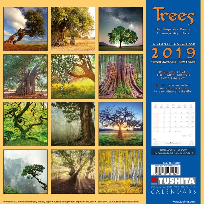 Trees Wall Calendars 2019 Large selection