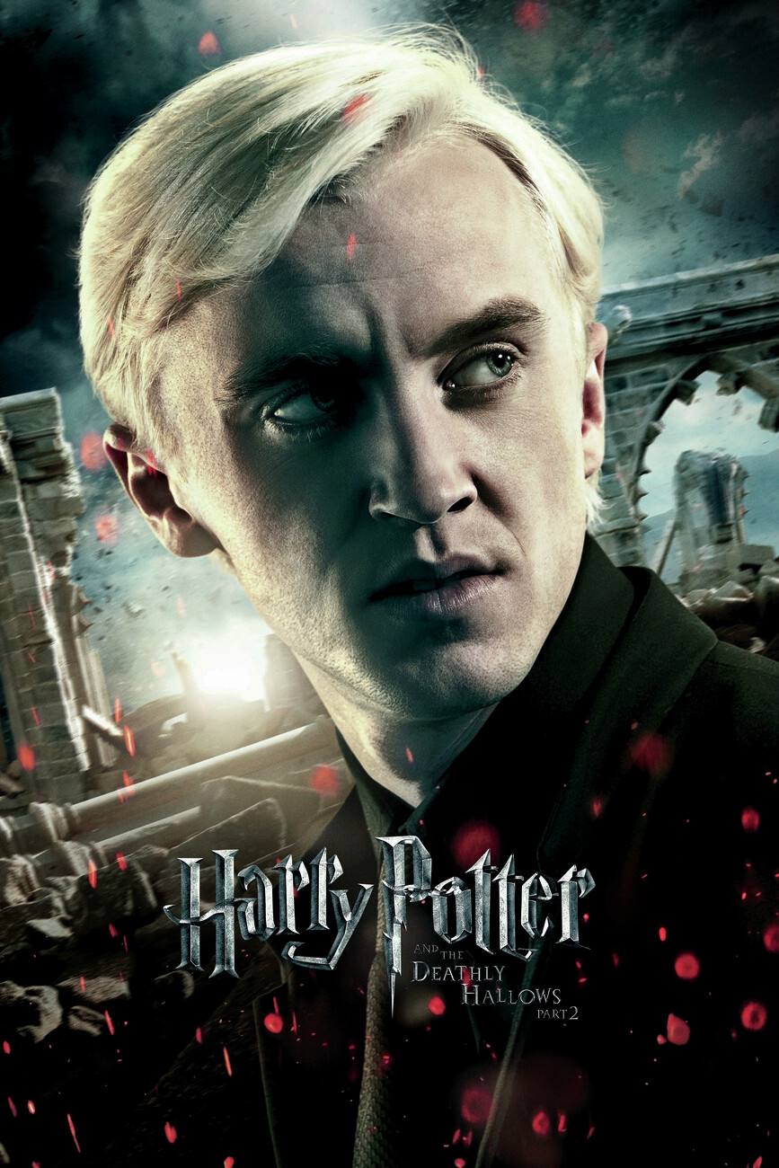 Canvas print Harry Potter - Draco Malfoy | Fine Art Prints & Wall  Decorations