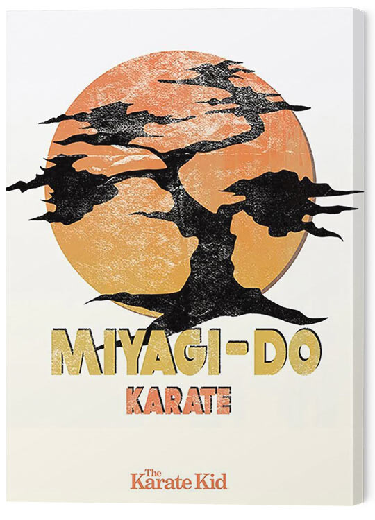 karate kid poster