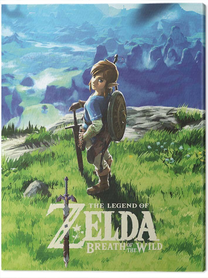 Legend of Zelda Art Legend of Zelda Breath of the Wild Zelda 