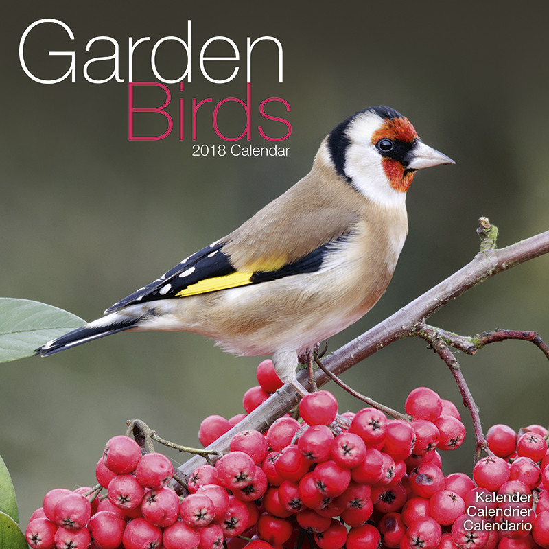 Garden Birds Wall Calendars 2022 Large Selection