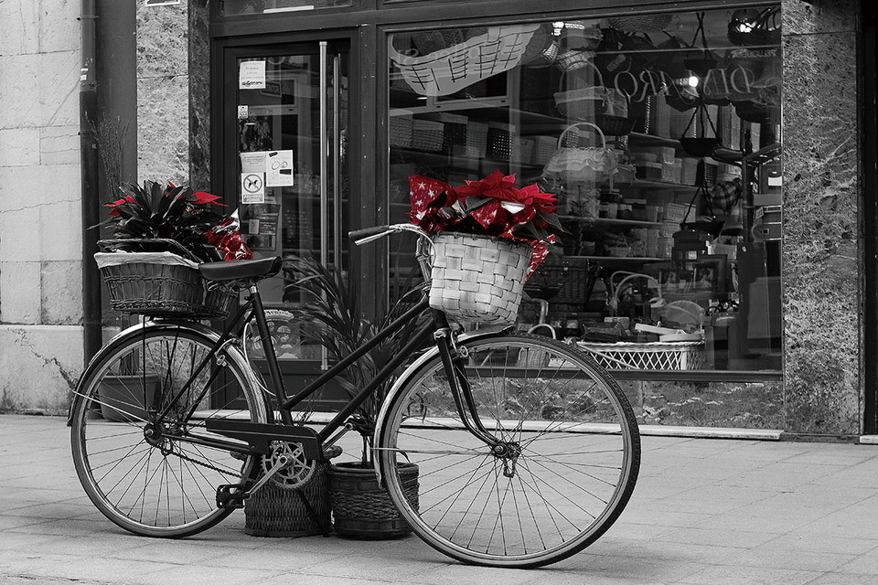 Wall Glass Art - Old Bicycle - Red Flowers | Buy at ...