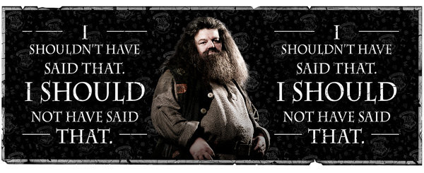 Mug Harry Potter - Hagrid Quote | Tips For Original Gifts