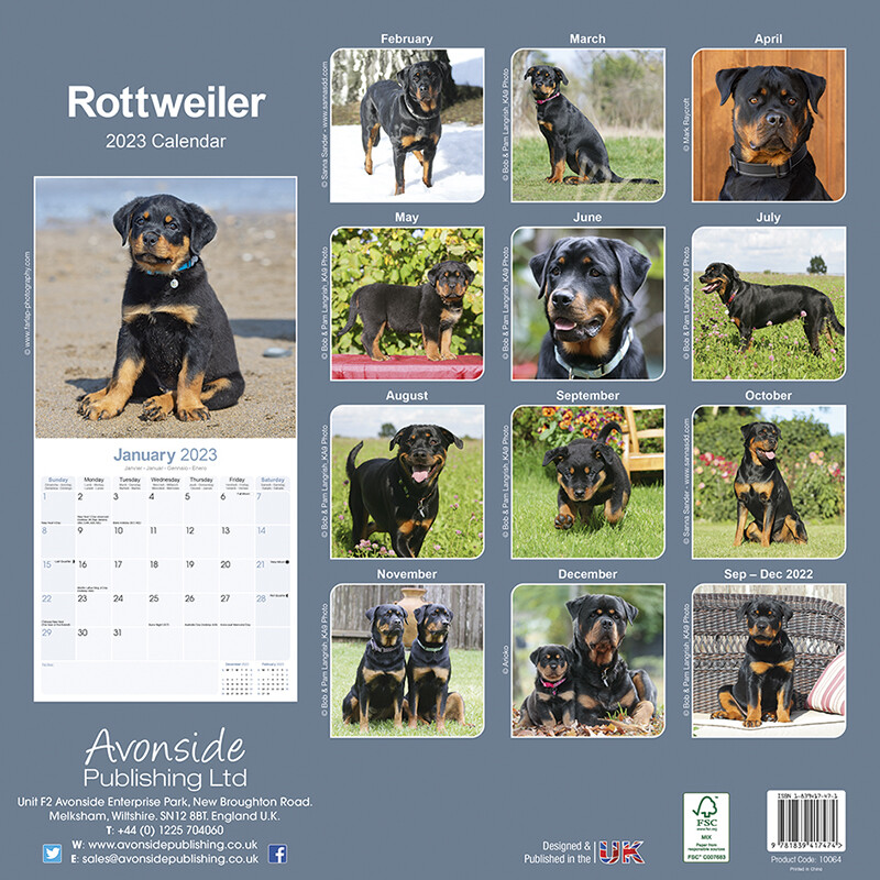 Rottweiler - Seinäkalenterit 2023 | Osta Europosters