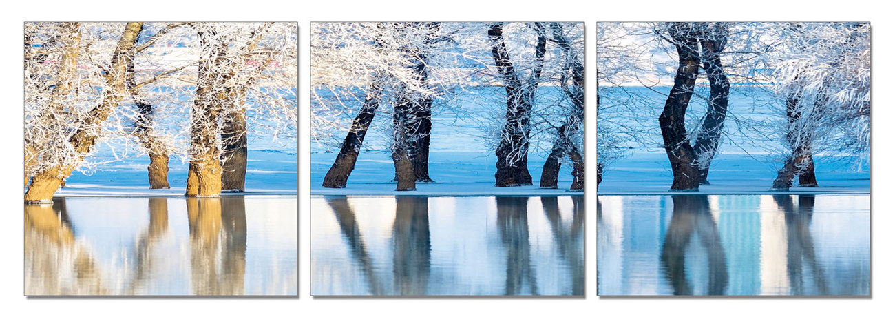 Frozen Trees Mounted Art Print | Buy at EuroPosters