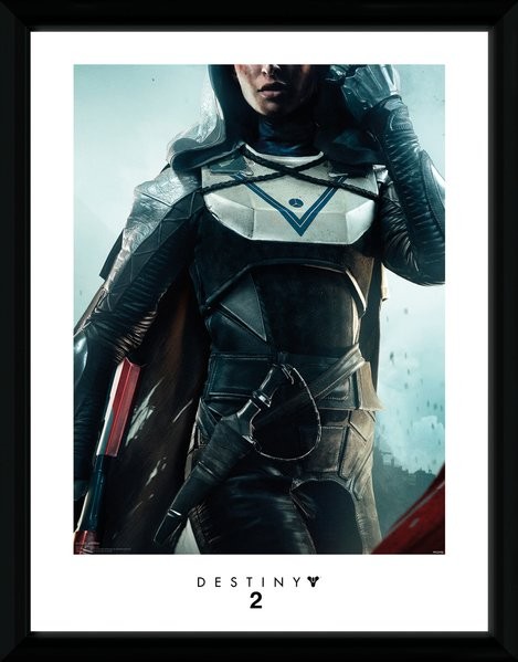 Destiny 2 Hunter Framed Poster Buy At Abposterscom