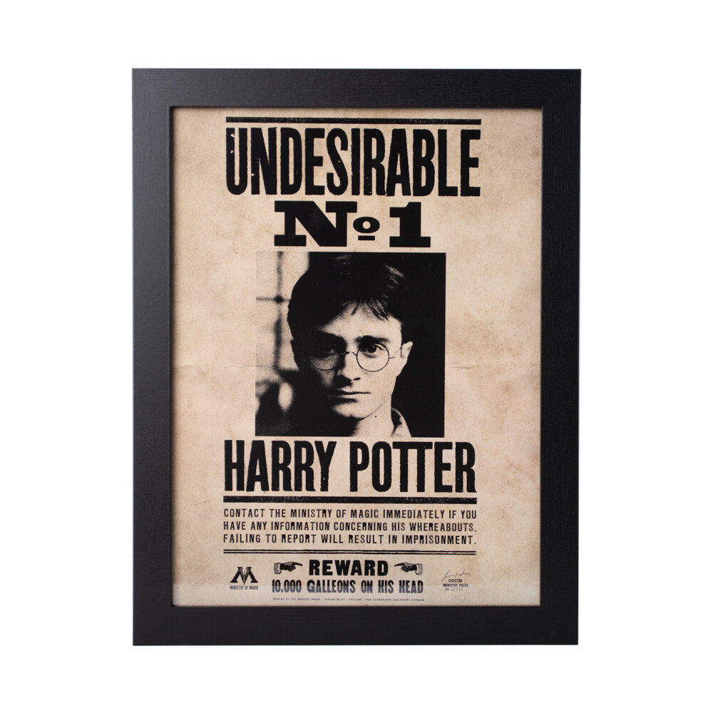 Póster · Harry Potter Undesirable No.1 - Superbritánico