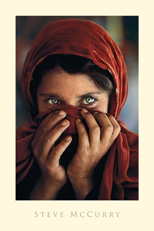 hældning permeabilitet Bangladesh Poster Afghan girl - steve mccurry | Wall Art, Gifts & Merchandise |  Abposters.com