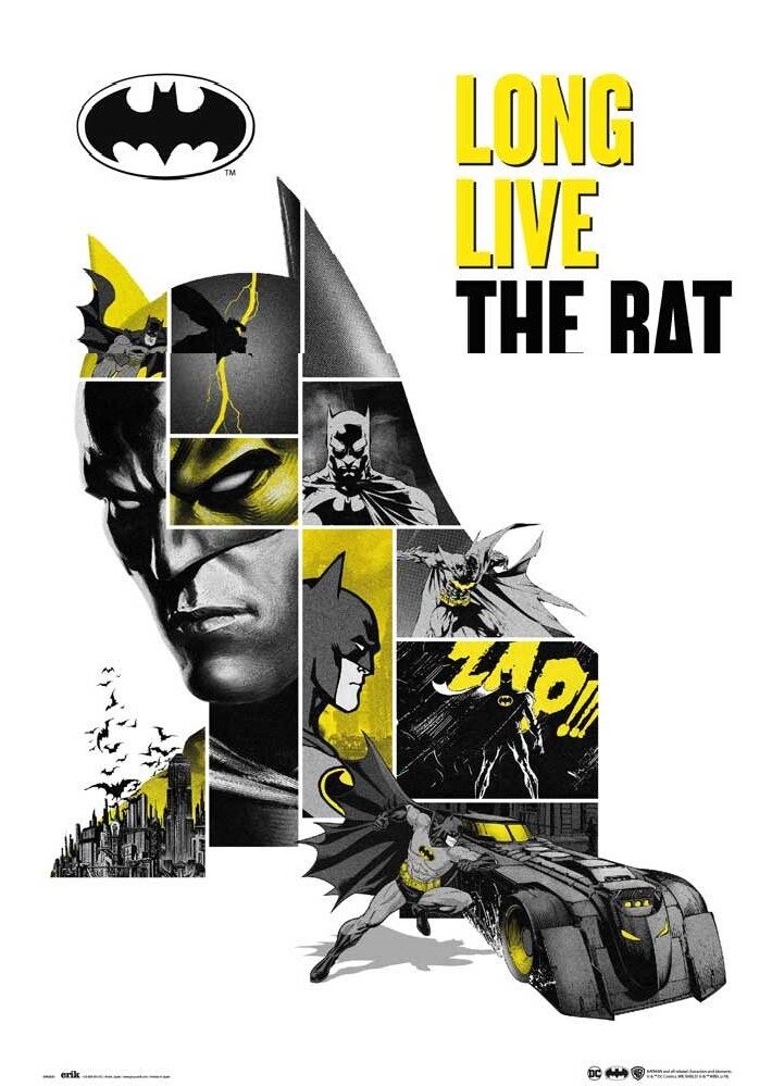 Poster Batman - 80th Anniversary | Wall Art, Gifts & Merchandise |  Europosters