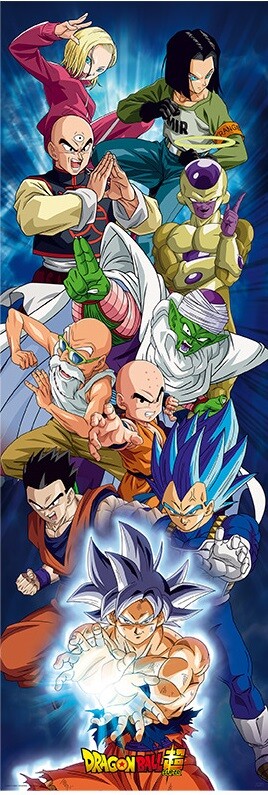 Dragon Ball Super - Universe Group Poster enmarcado