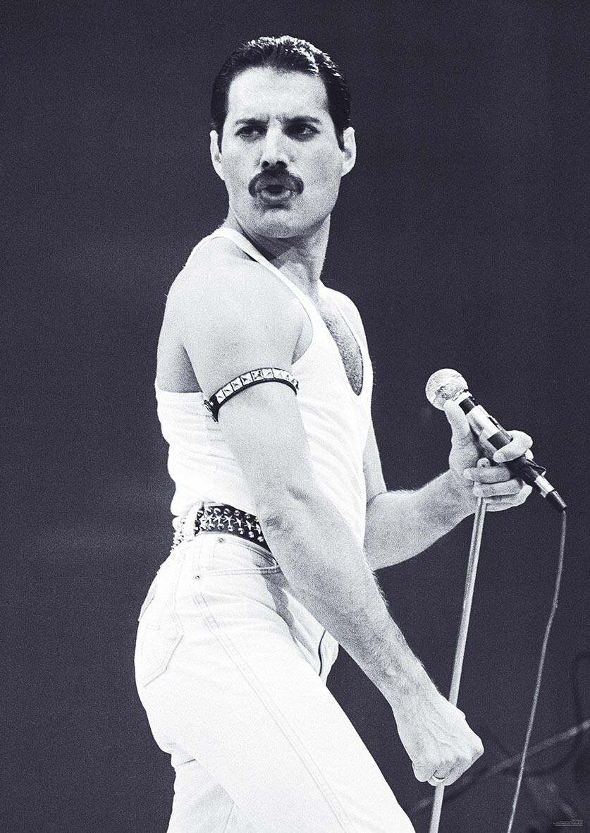 Freddie Mercury - Live Aid Poster | All posters in one place | 3+1 FREE