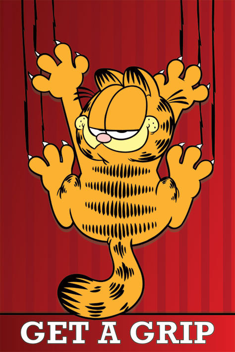 Poster GARFIELD get a grip | Wall Art, Gifts & Abposters.com