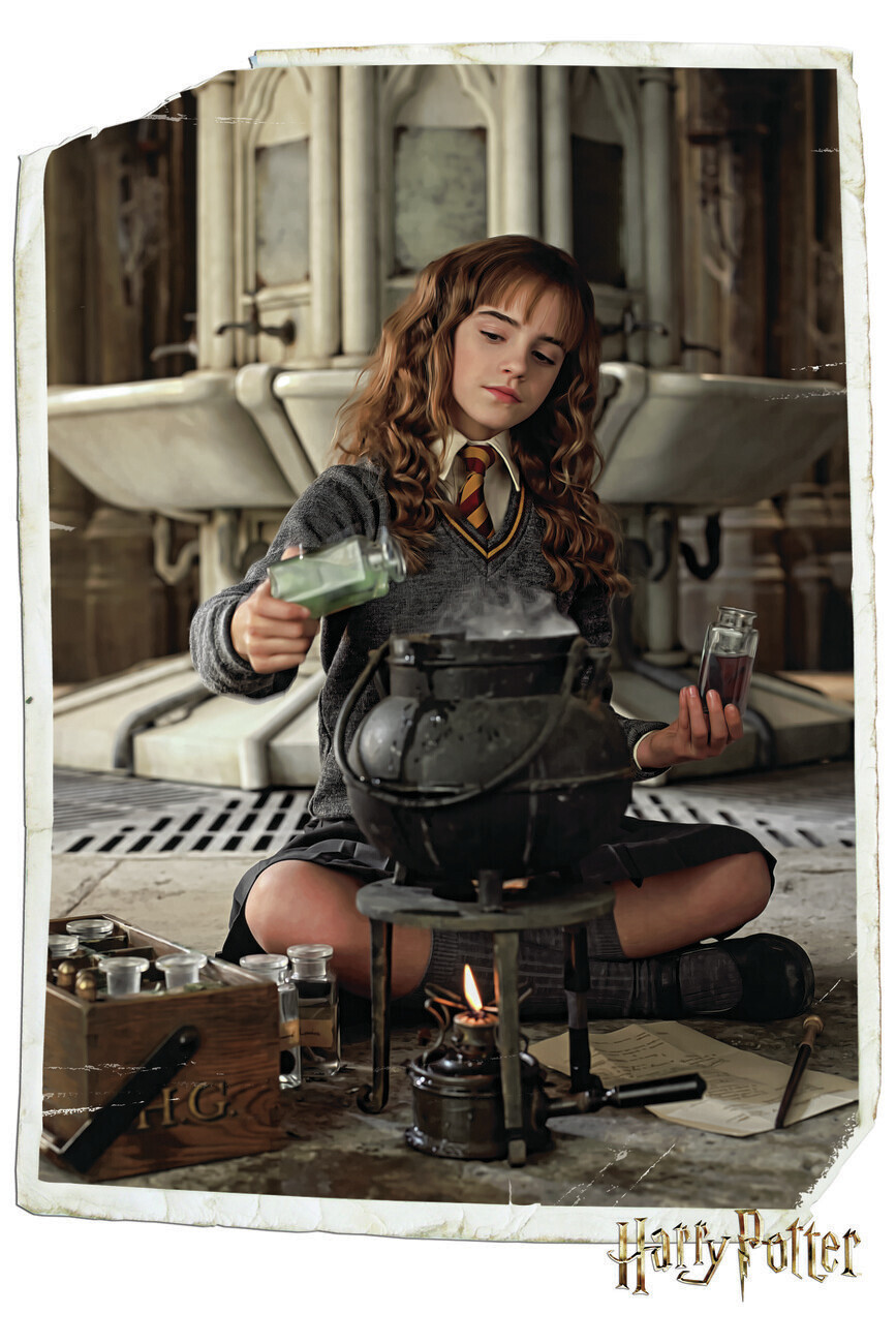 Large Wall Poster Harry Potter - Hermione Granger | Gifts ...