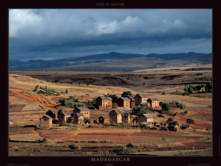 Madagascar Art Print | Buy at Abposters.com Madagascar Art Print | Buy at Abposters.com