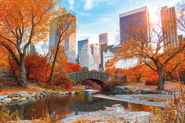 Poster New York - Central Park Autumn | Wall Art, Gifts & Merchandise ...