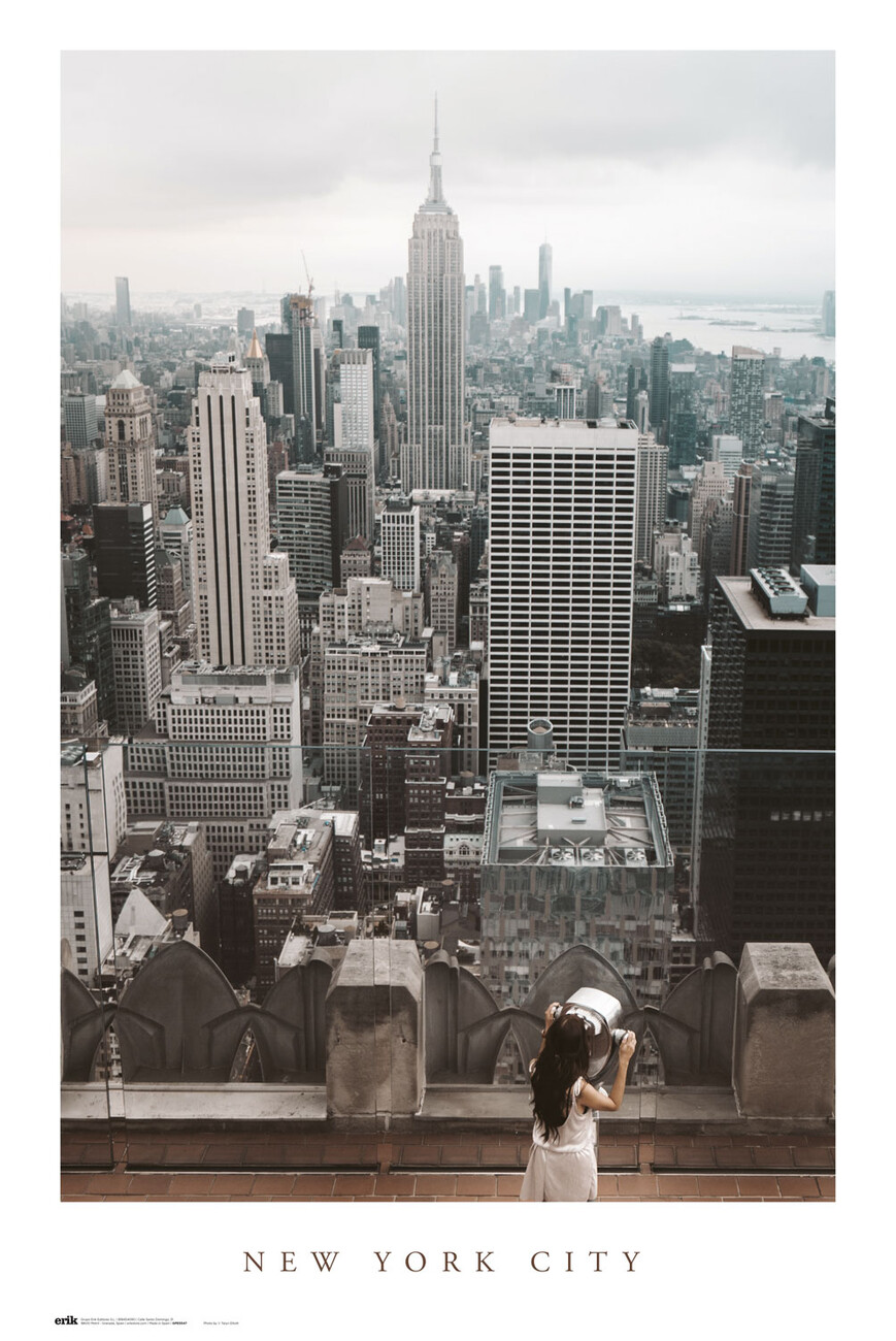 Poster New York City Views, Wall Art, Gifts & Merchandise