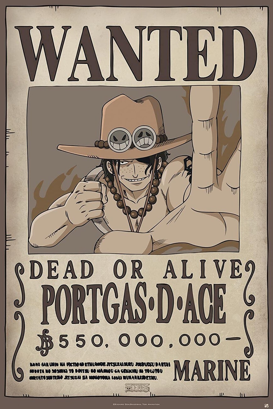  One Piece Wanted Poster: New World (Official Licensed
