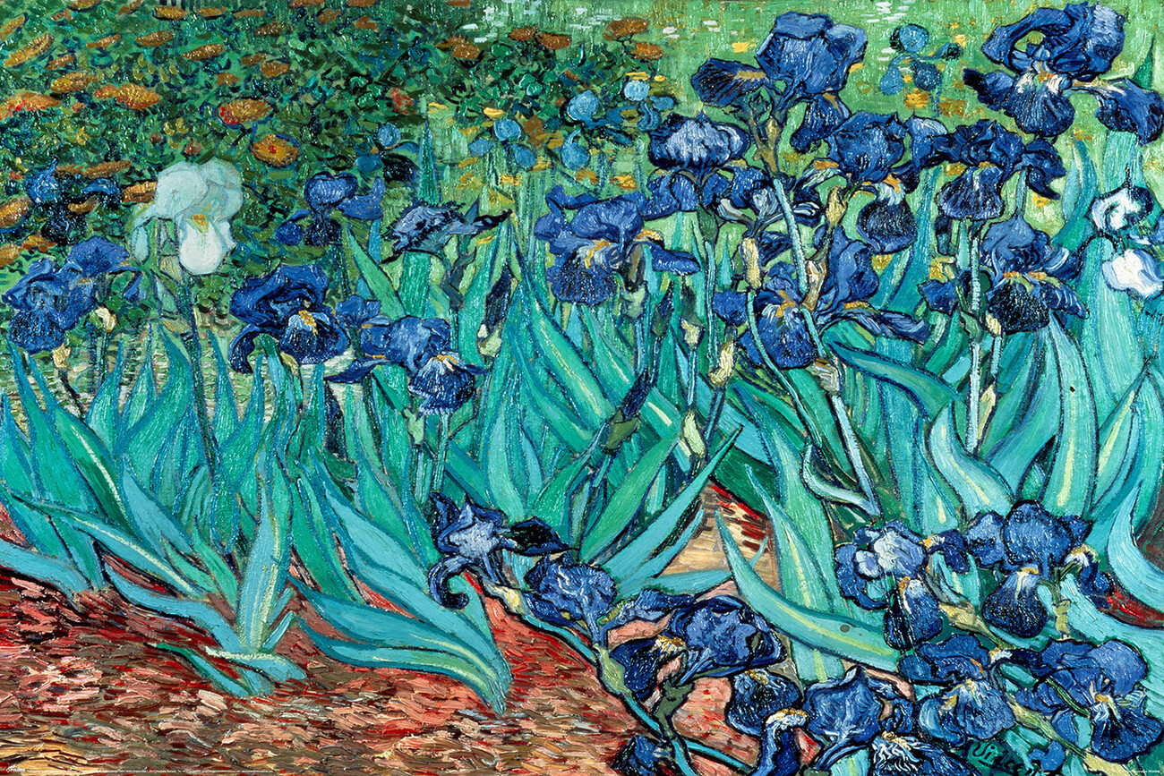 Vincent van Gogh - Les Irises Poster | All posters in one place | 3+1 FREE