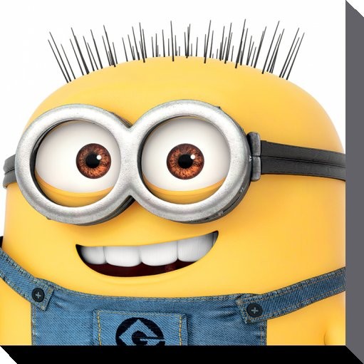 Despicable Me 2 2013 - Rotten Tomatoes